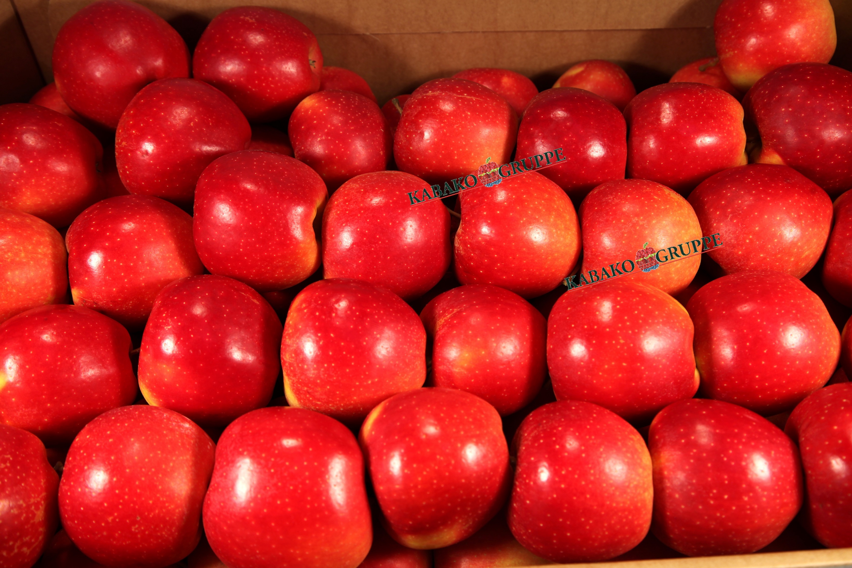 Frozen (IQF) Apples 78